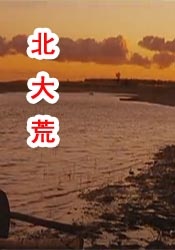 1080HD手机在线观看
